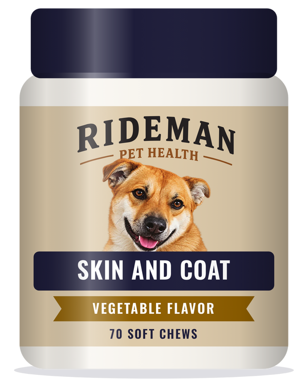 Skin and Coat